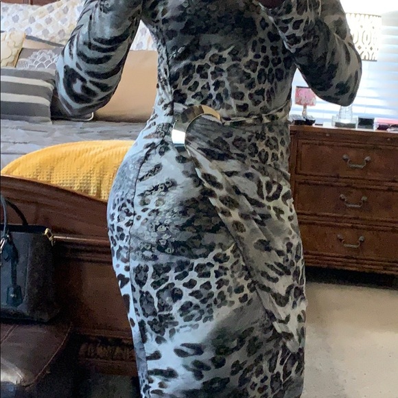 Cache Dress - Picture 2 of 8